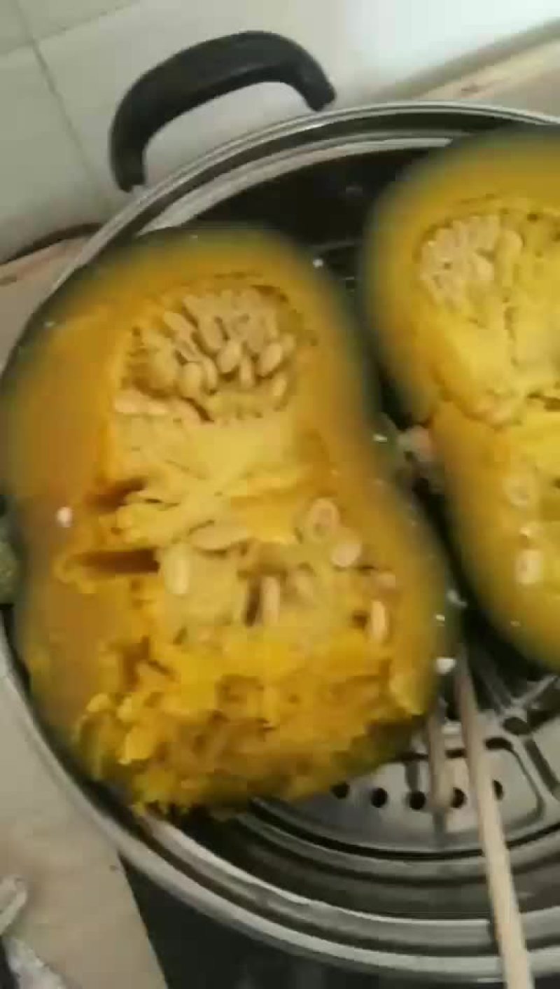 板粟南瓜