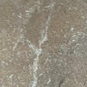 小麦