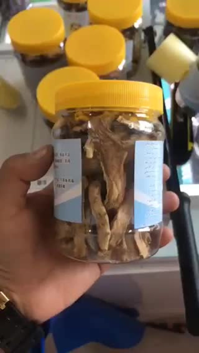 肉苁蓉鲜干片（罐装）