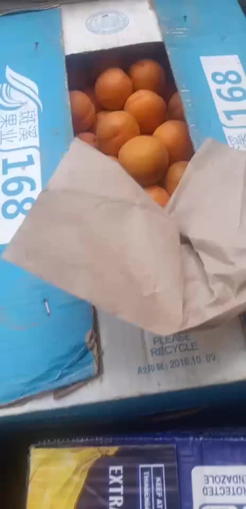 金太阳大黄杏