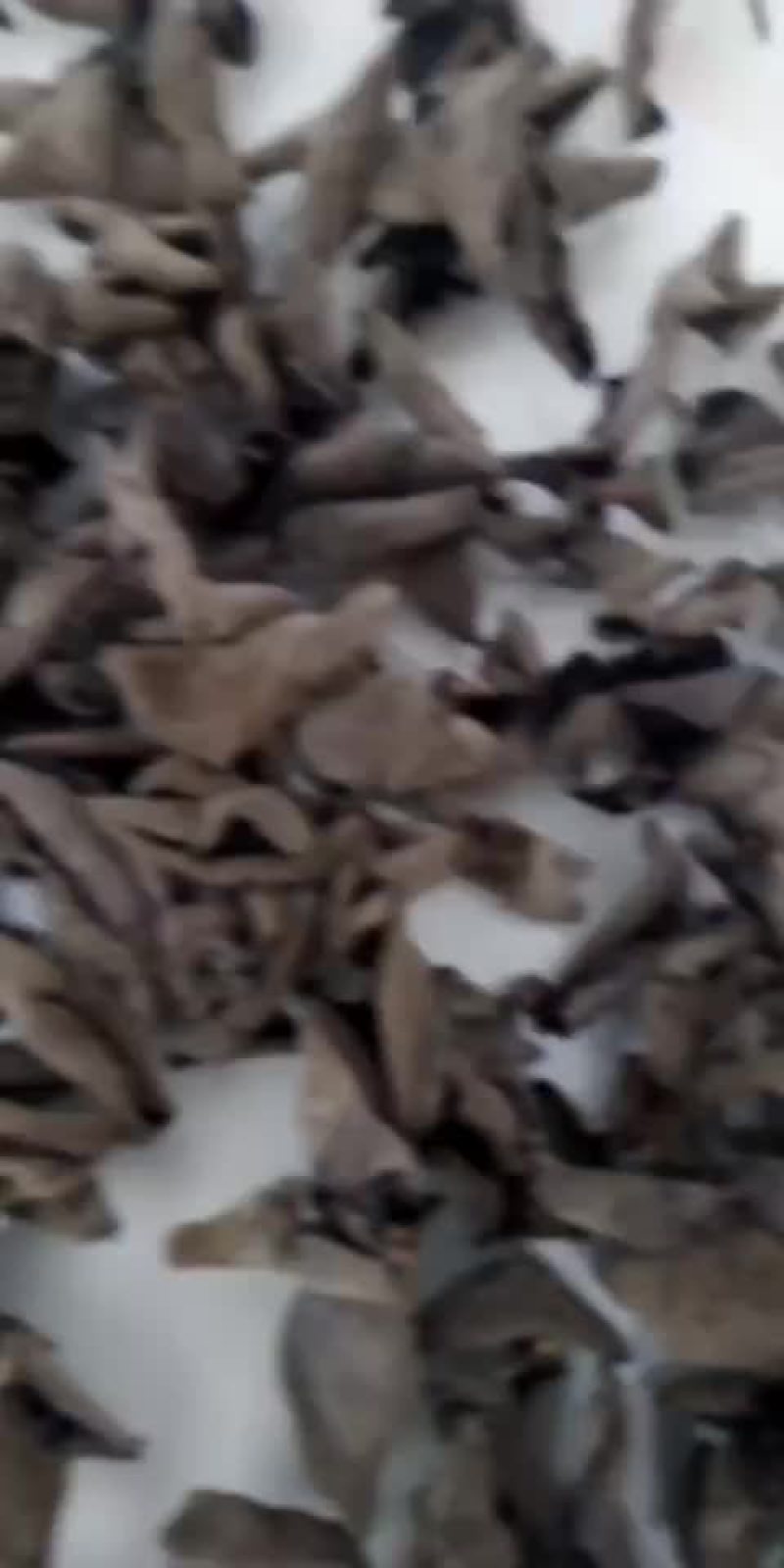 东北黑木耳，纯木耳，不加重黑木耳