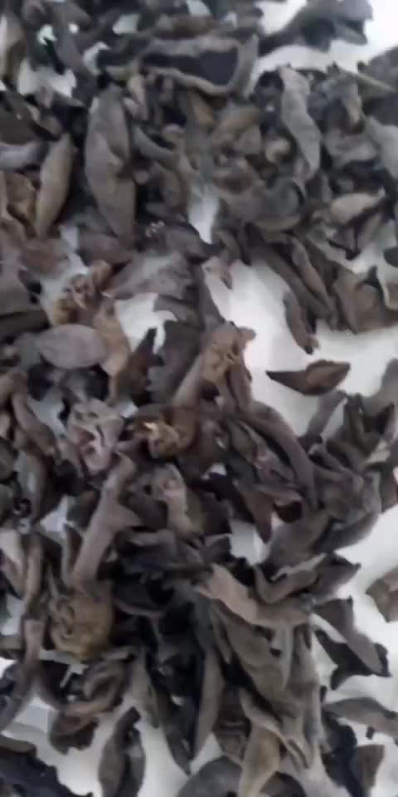 东北黑木耳，纯木耳，不加重黑木耳