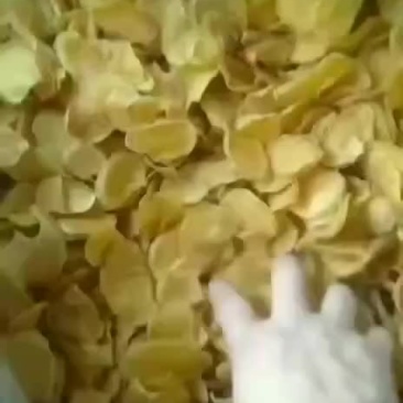 大量批发山野菜大量批发土豆片，支持一件代发。电商合作。