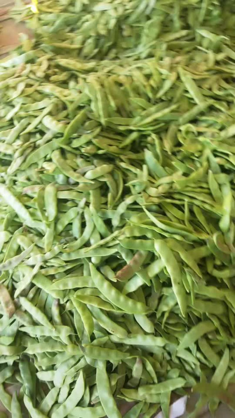 一点红油豆大量上市，质优价廉