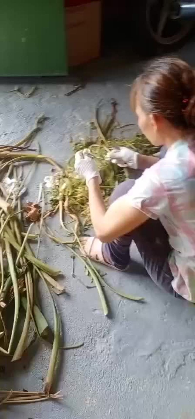 芋苗干支持线上平台保障交易
