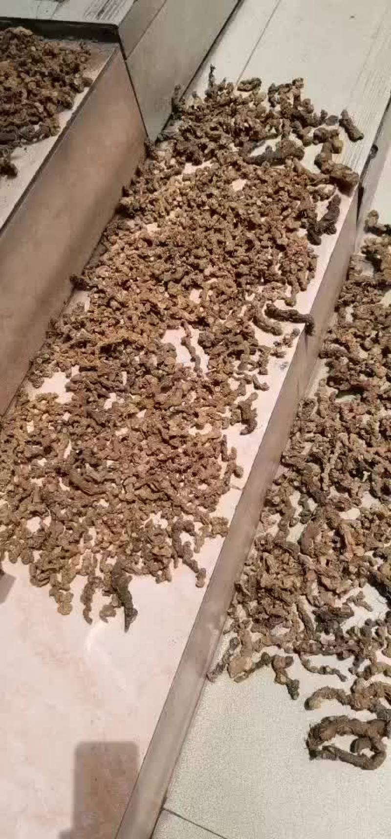 黄精，干货农户一手货