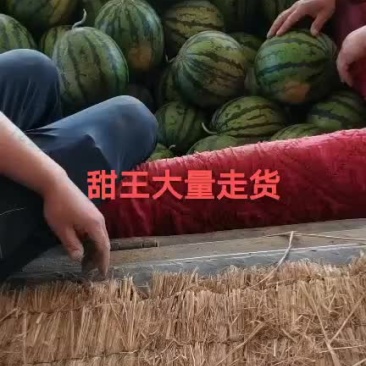 甜王沙地西瓜口感好质量保证