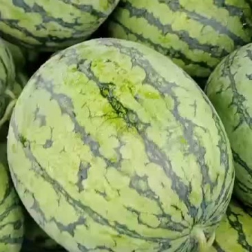 西瓜
