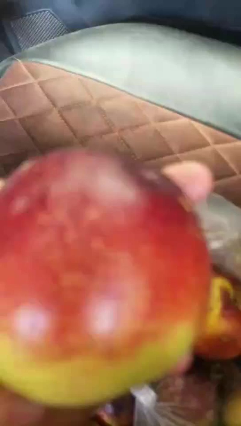 咱家油桃熟了