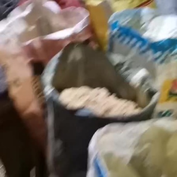 蒲黄