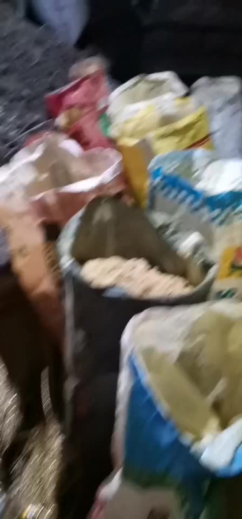 蒲黄