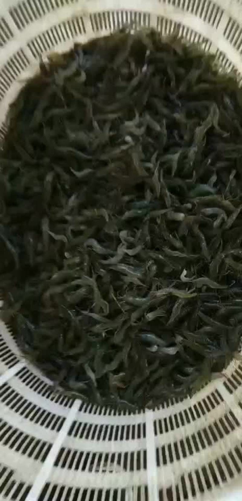 河虾