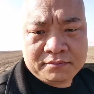土地流转。水浇地，交通便利，灌溉方便