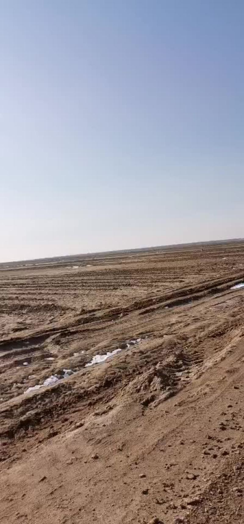 土地流转。水浇地，交通便利，灌溉方便