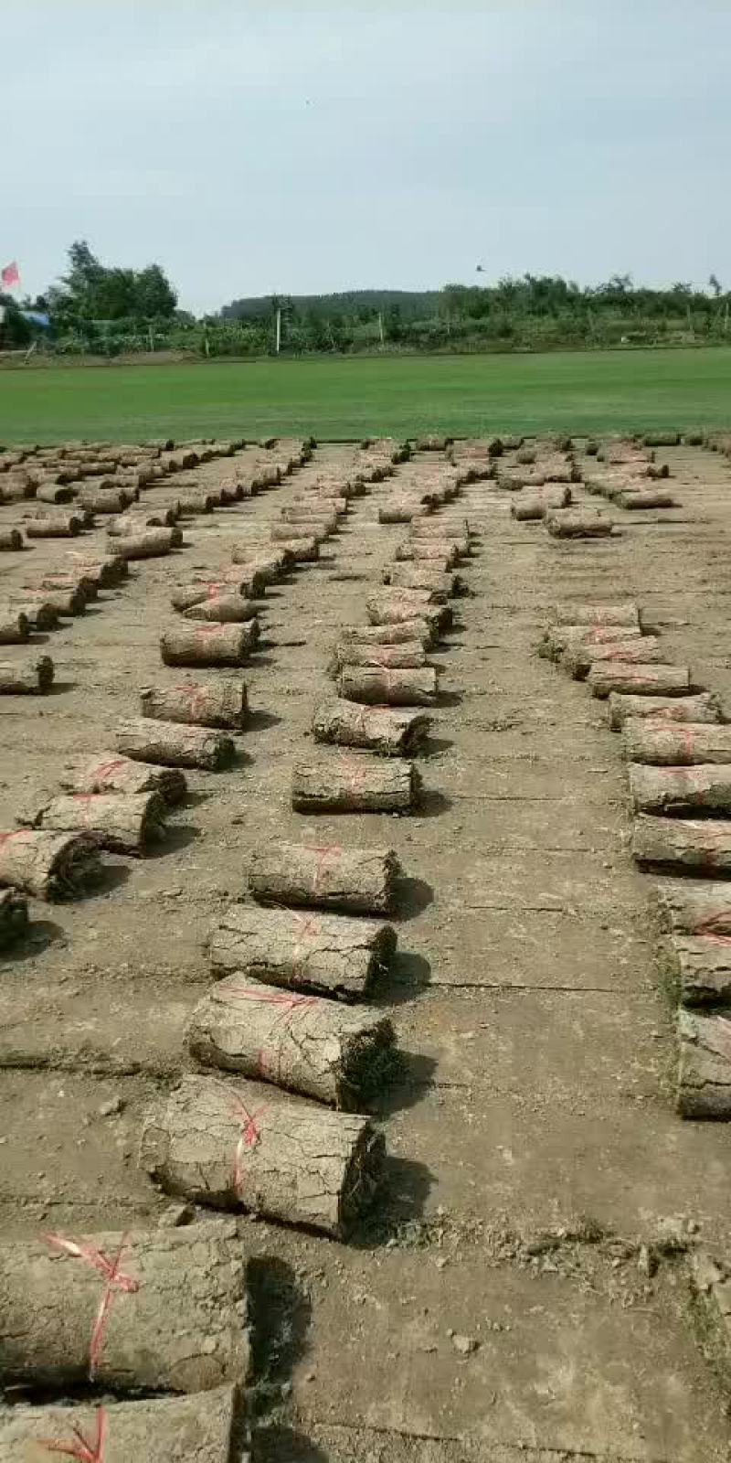 农忙时节每天两车早早做完