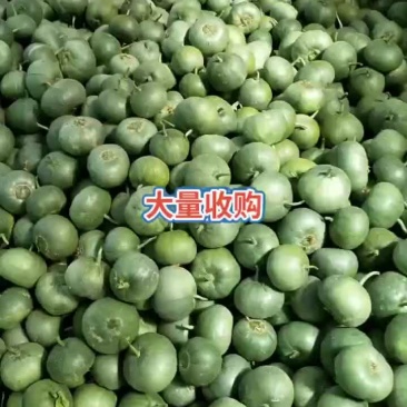 甜瓜