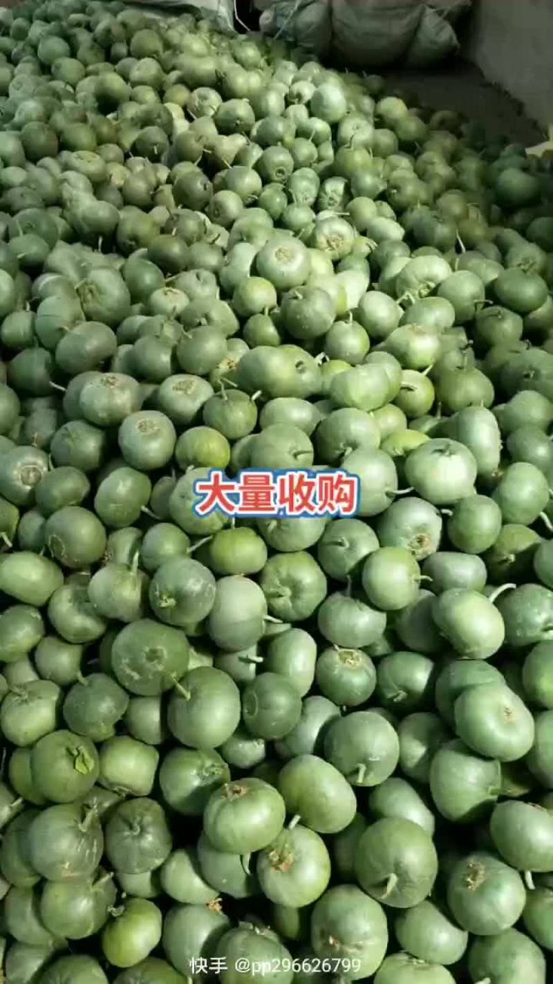 甜瓜