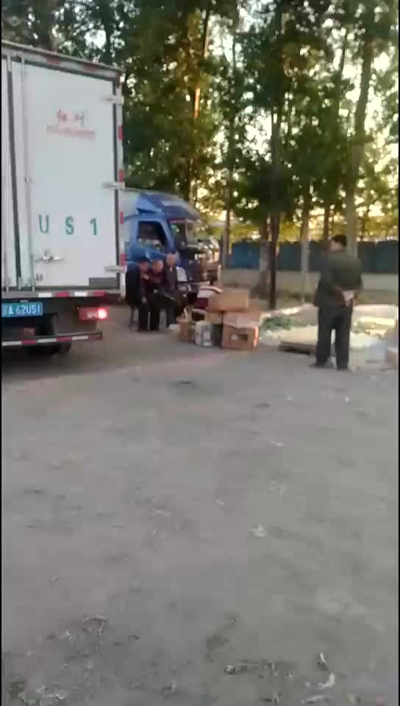 甜瓜落价