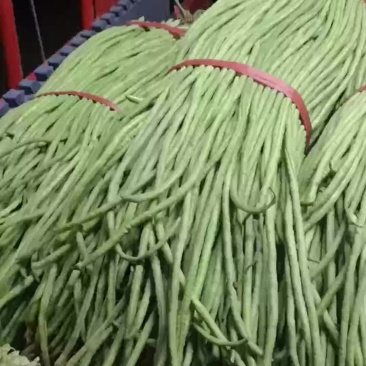 货真价实，值得拥有，长豆角大量上市！