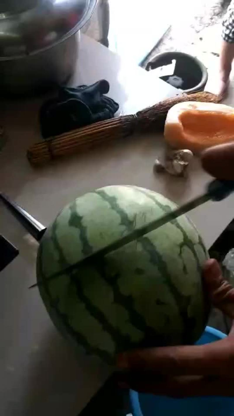 8424西瓜