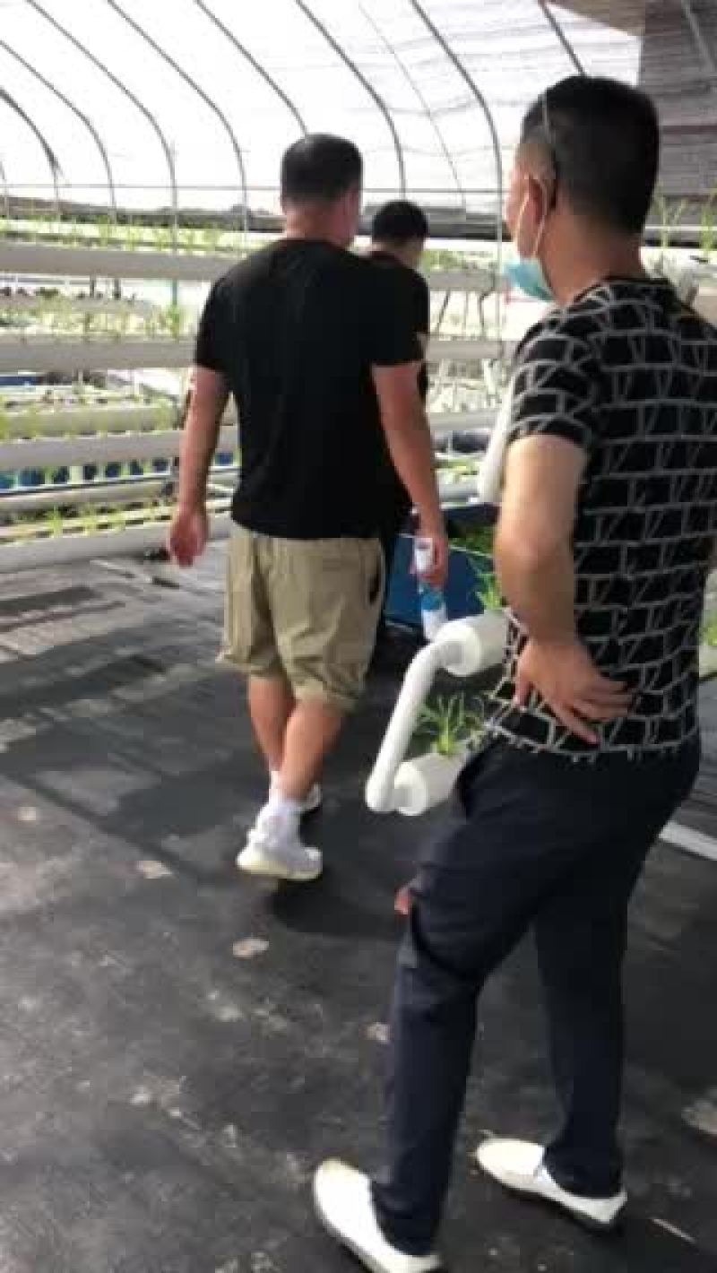 鱼菜共生内循环系统设备