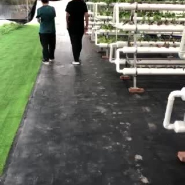 鱼菜共生内循环系统设备