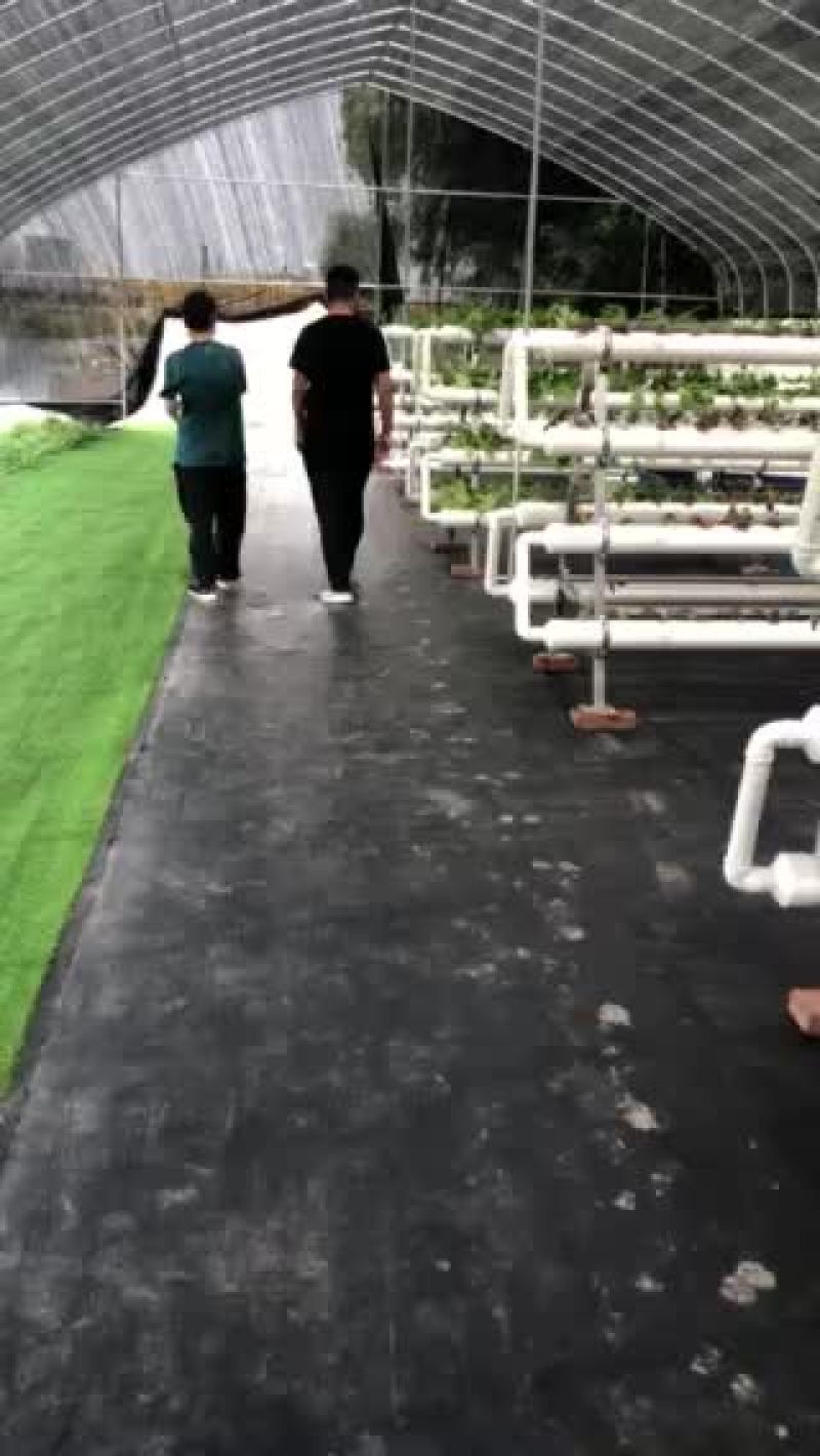 鱼菜共生内循环系统设备