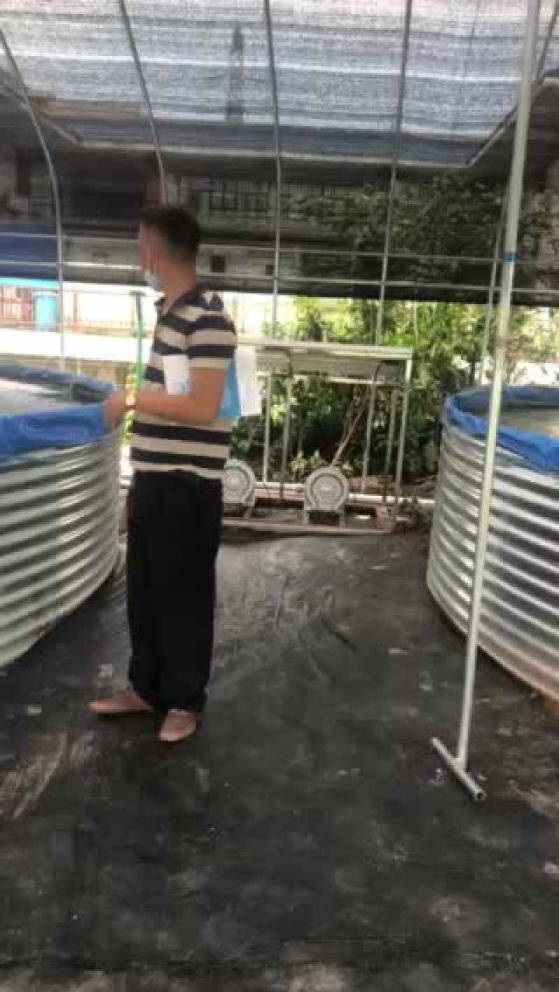 鱼菜共生内循环系统设备