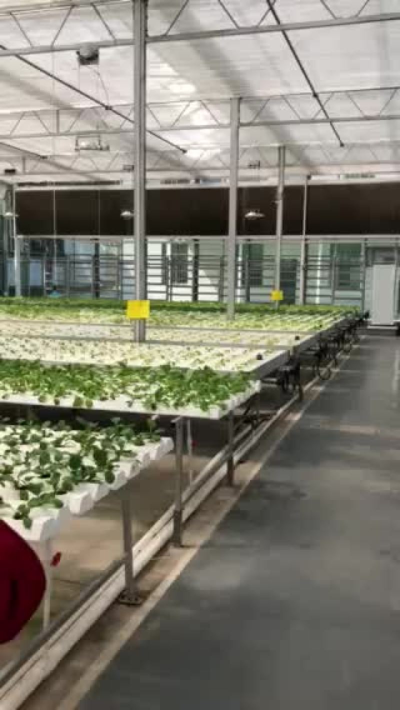鱼菜共生内循环系统设备