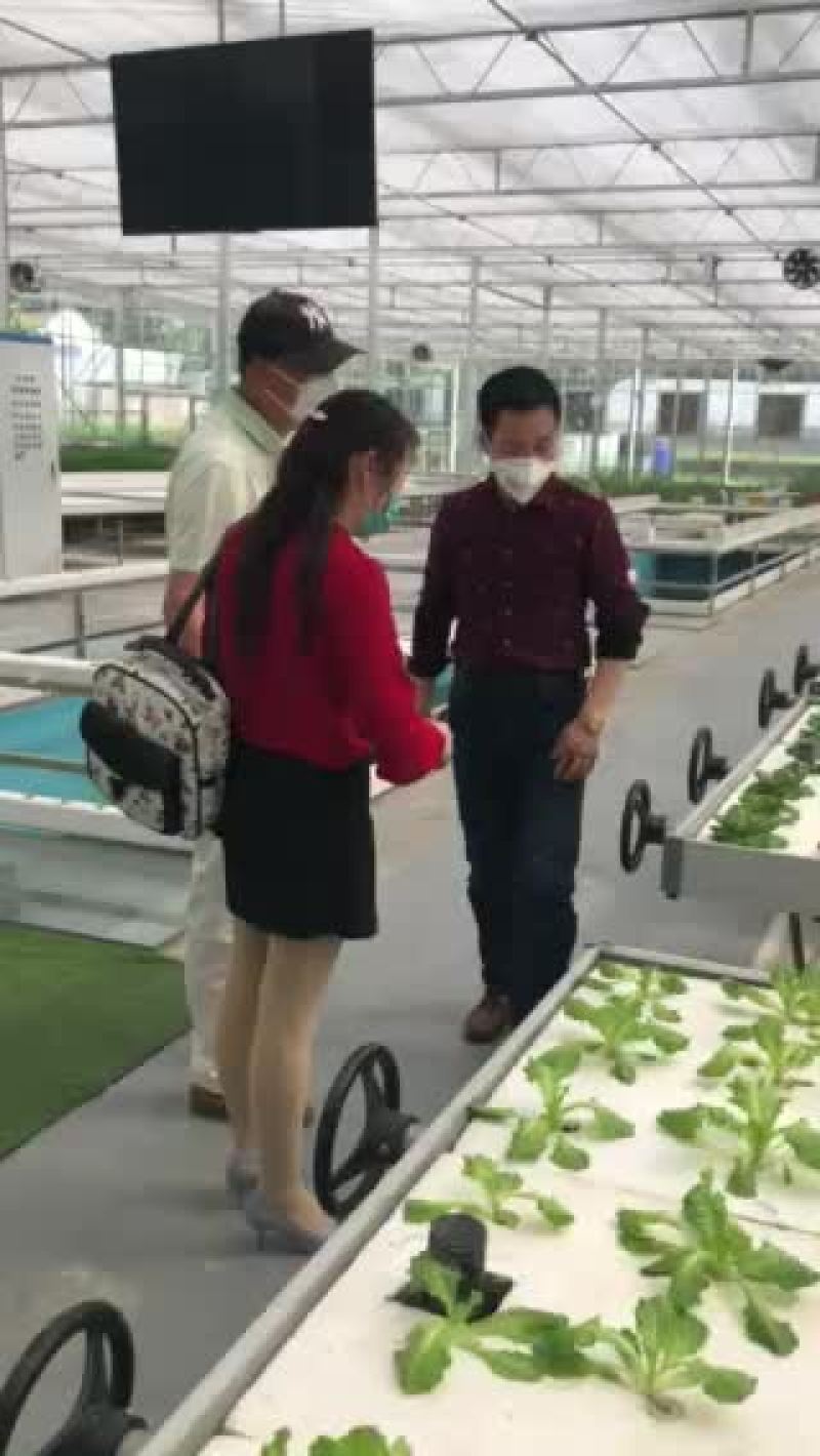 鱼菜共生内循环系统设备