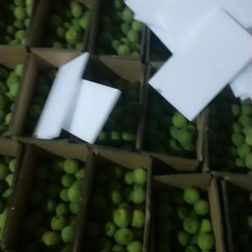 青梅一件代发。