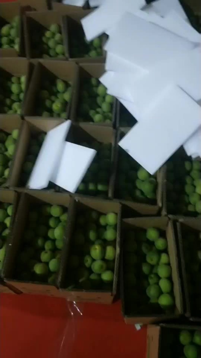 青梅一件代发。