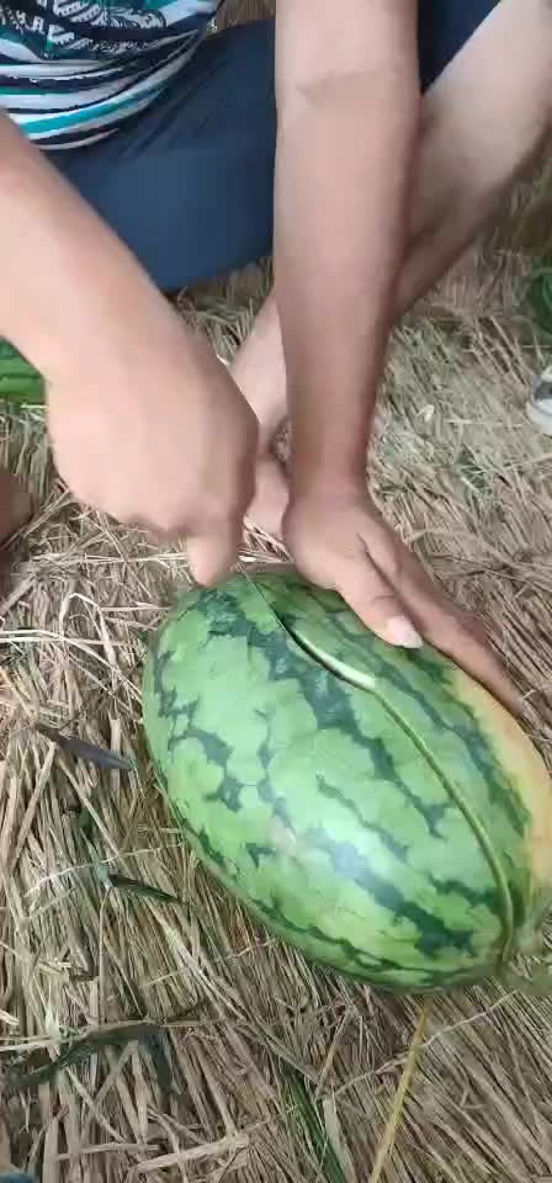 多年经历专业代发代发