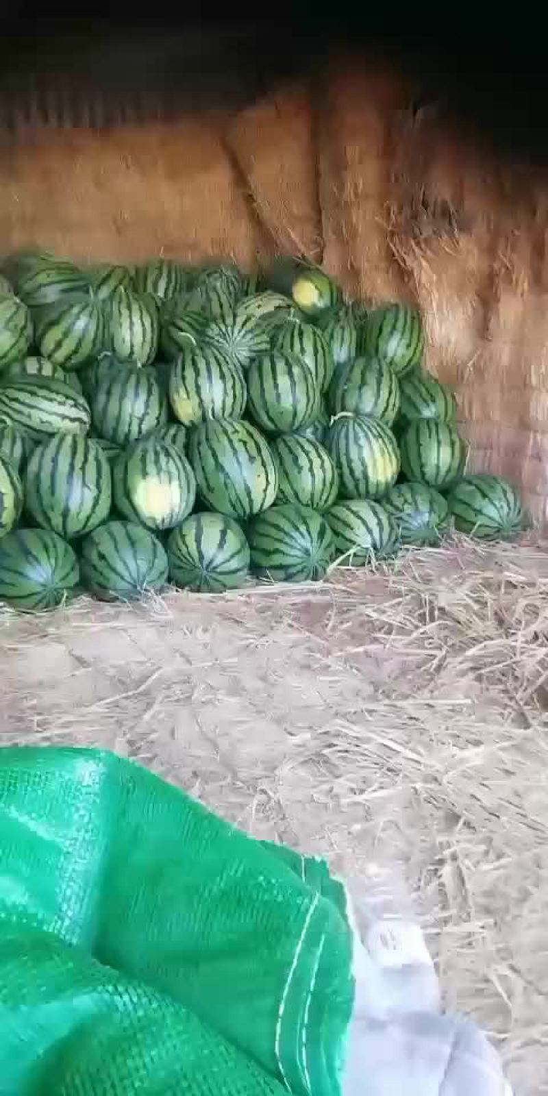 甜王西瓜