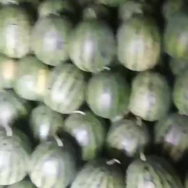 甜王西瓜