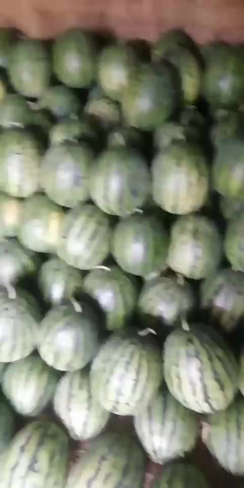 甜王西瓜