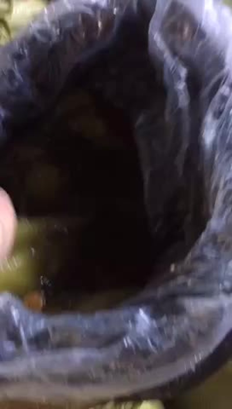 酸菜，芥菜批发咸菜，袋装，桶装，小包装