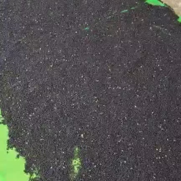 基地大天冬种子直供，质量保证