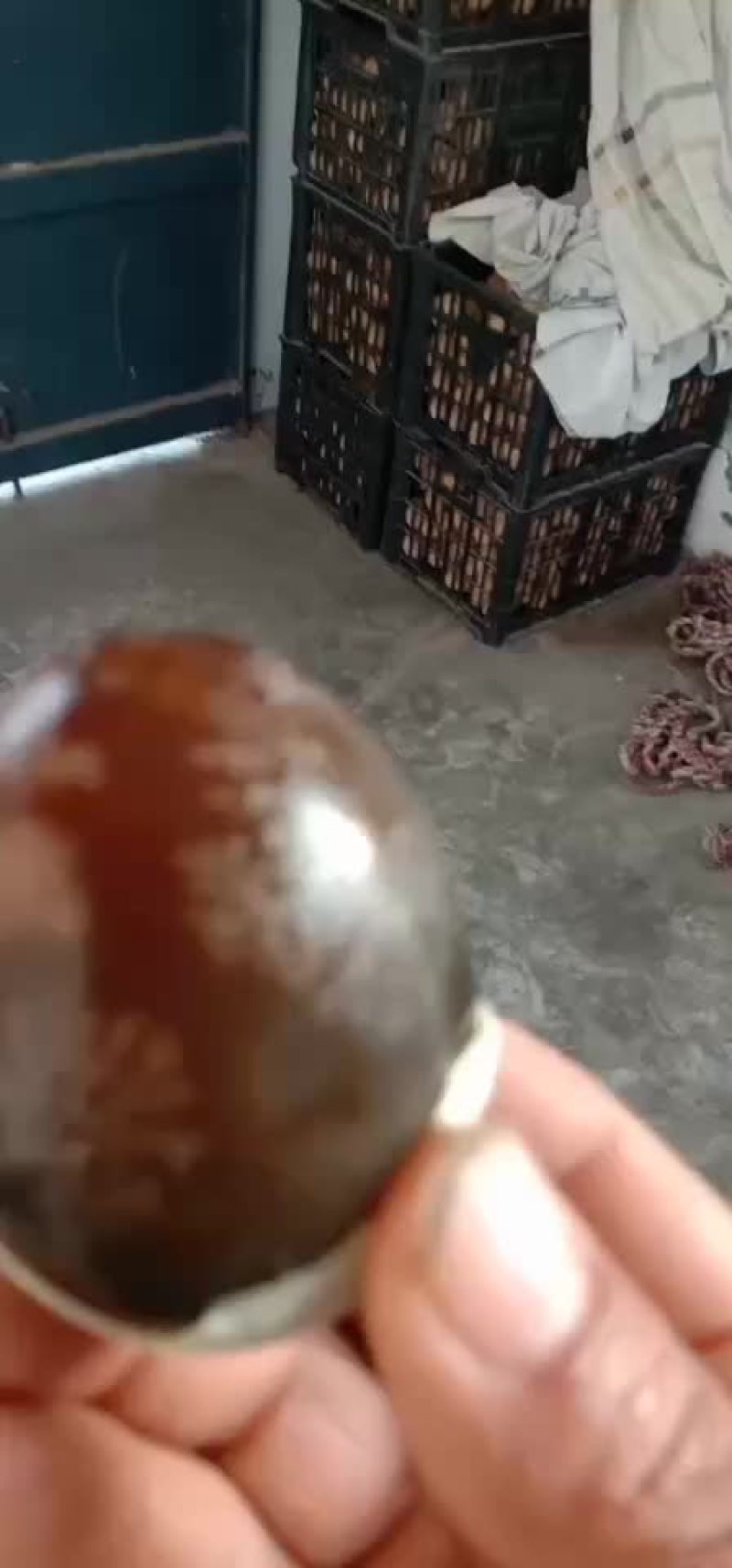 暴流咸鸭蛋每一枚都暴流油