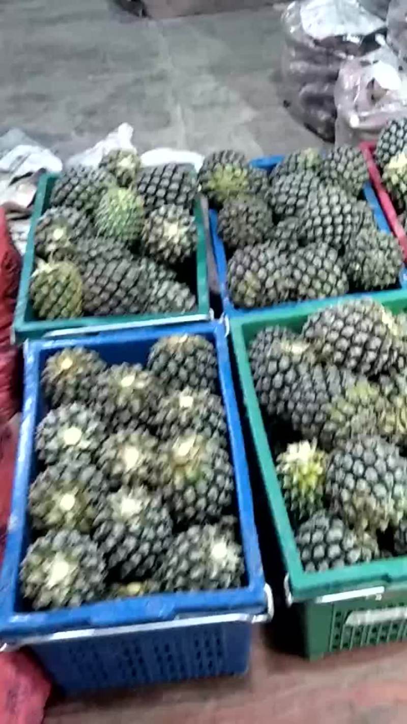 潮州菠萝