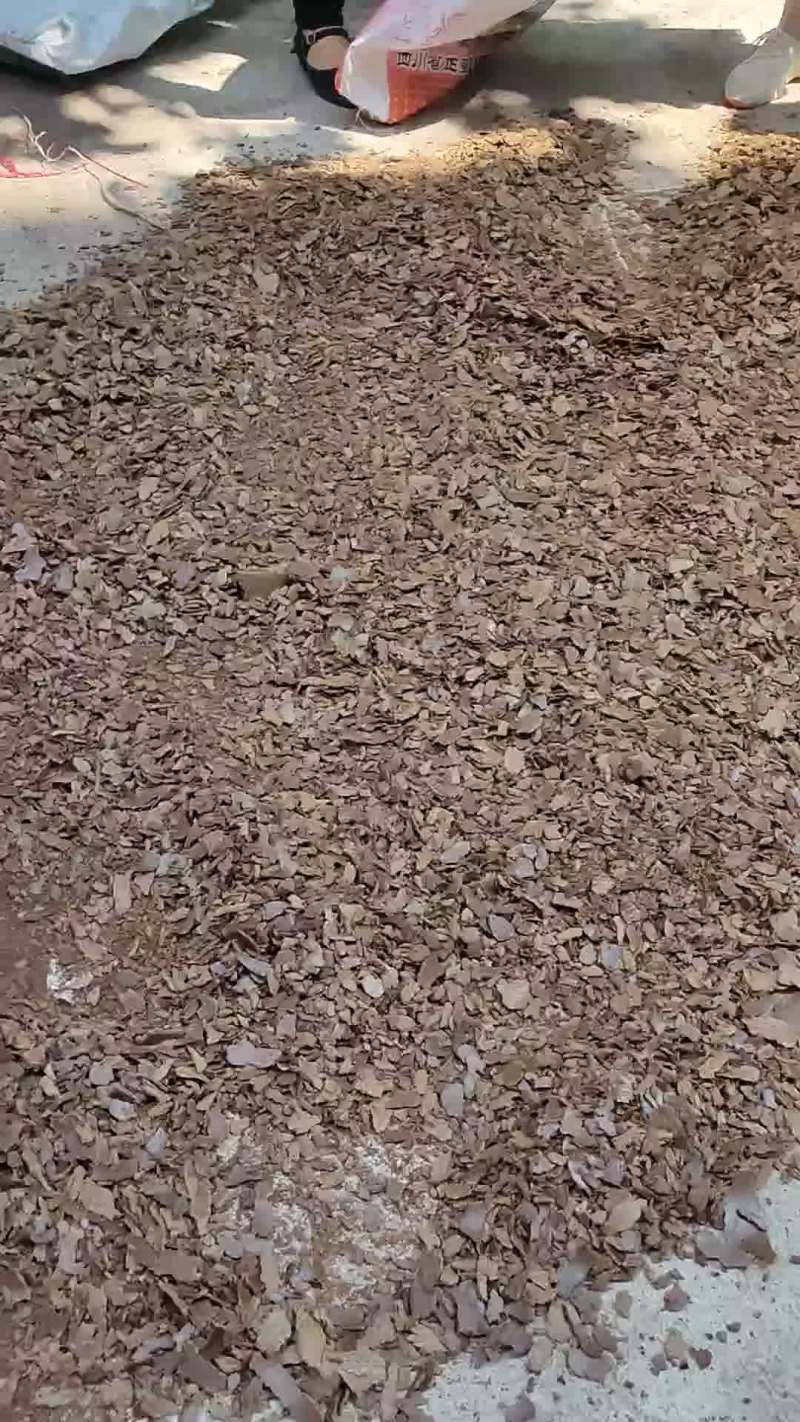 油枯
