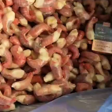 大直条，龙虾尾