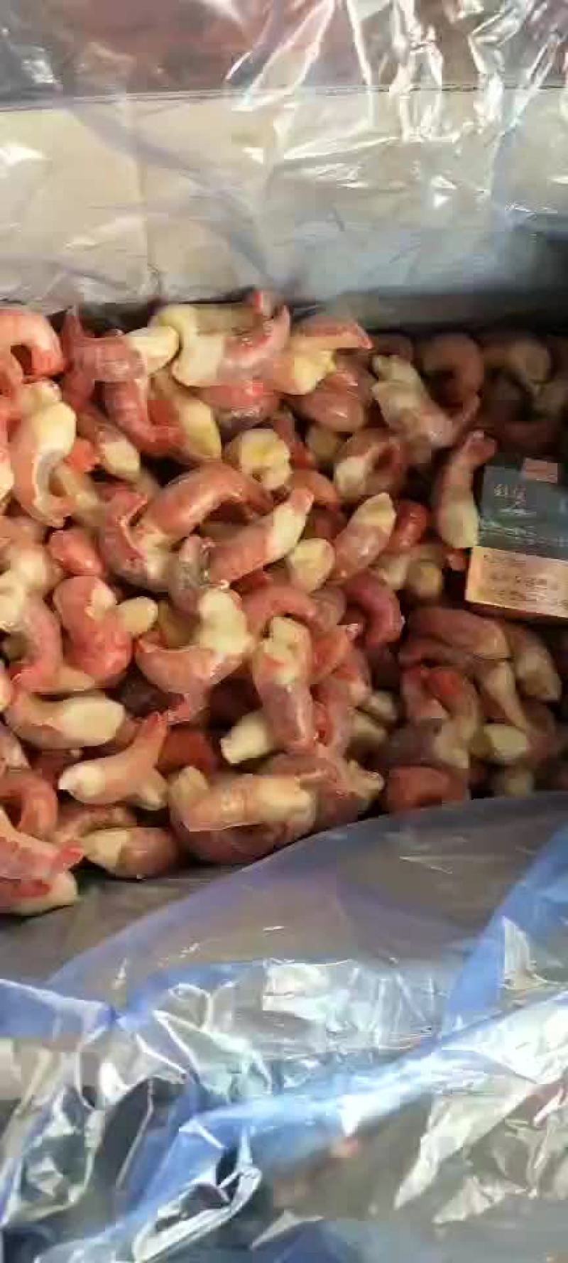 大直条，龙虾尾