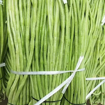 豆角长，质量好，价格优惠