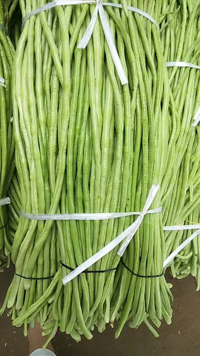 豆角长，质量好，价格优惠