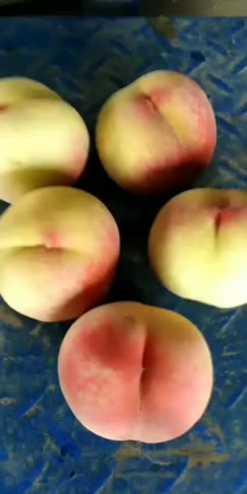 毛桃