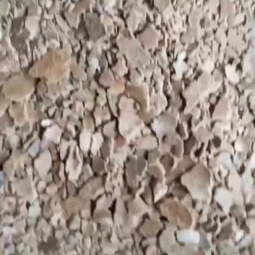 花生饼