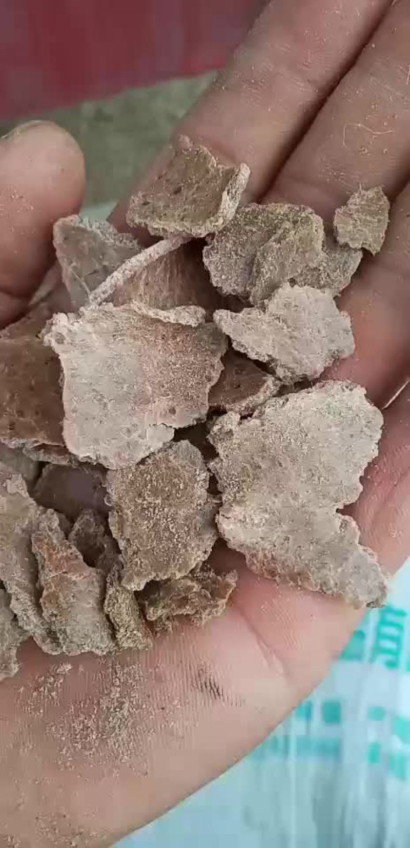 花生饼