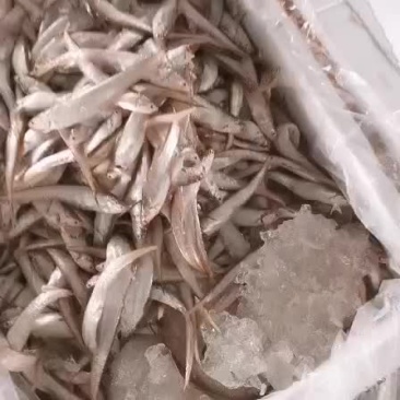 长期合作收货