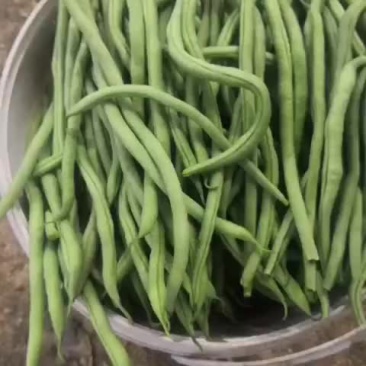 大田架豆王